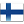 FI